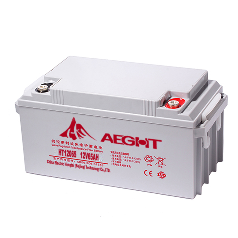 ¹̩AEG-HT 12065